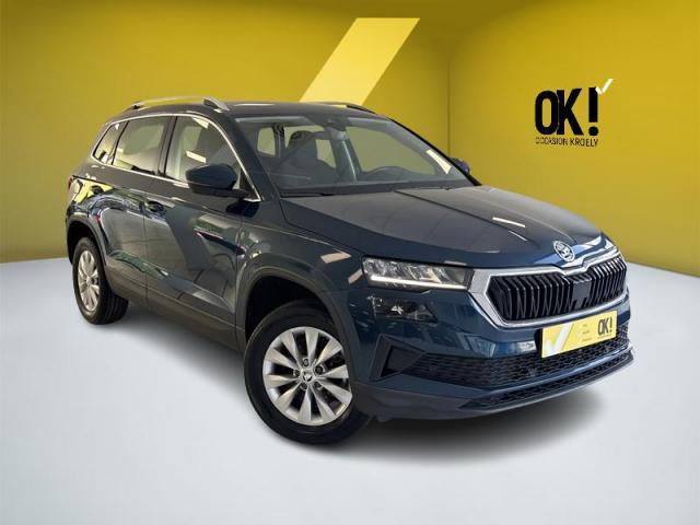 Skoda Karoq image 1