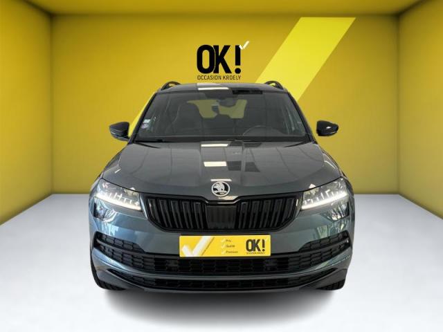 Skoda Karoq image 1