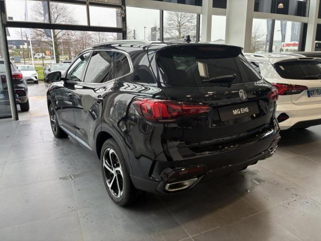 Mg Ehs image 1