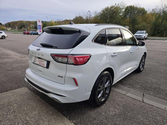 Ford Kuga image 1