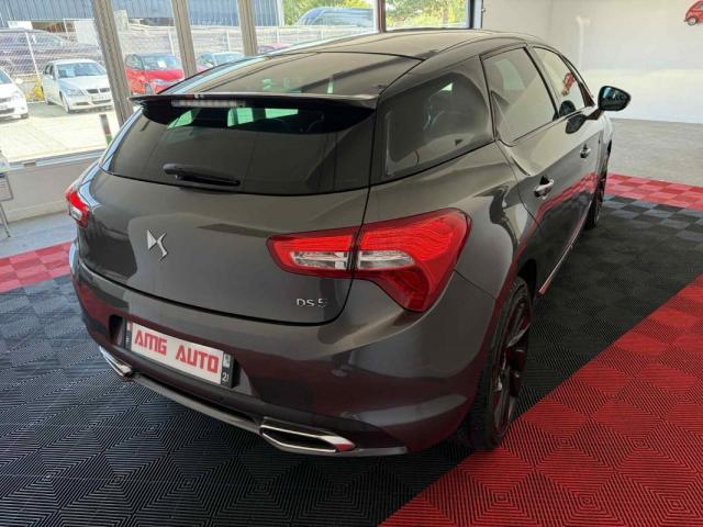 Ds Ds 5 image 8