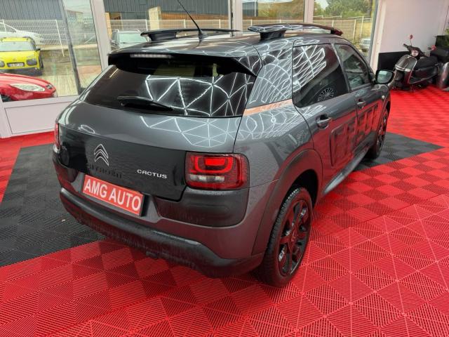 Citroen C4 Cactus image 8
