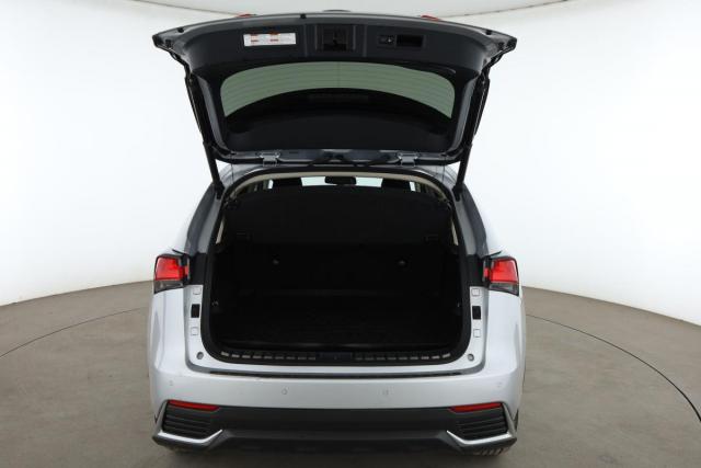 Lexus Nx image 8