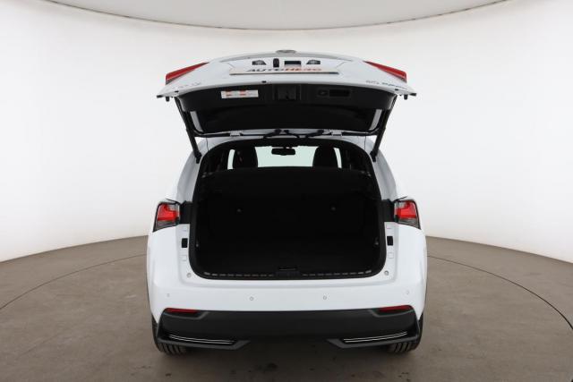 Lexus Nx image 8