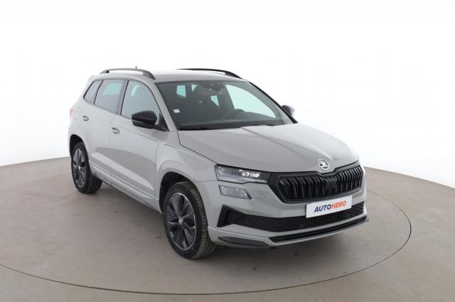 Skoda Karoq image 1