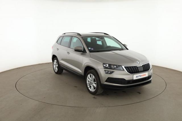 Skoda Karoq image 1