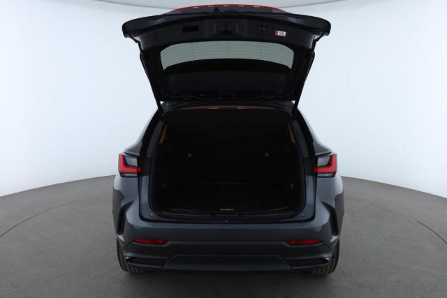 Lexus Nx image 9