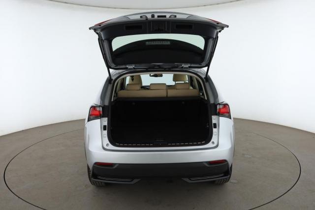 Lexus Nx image 7