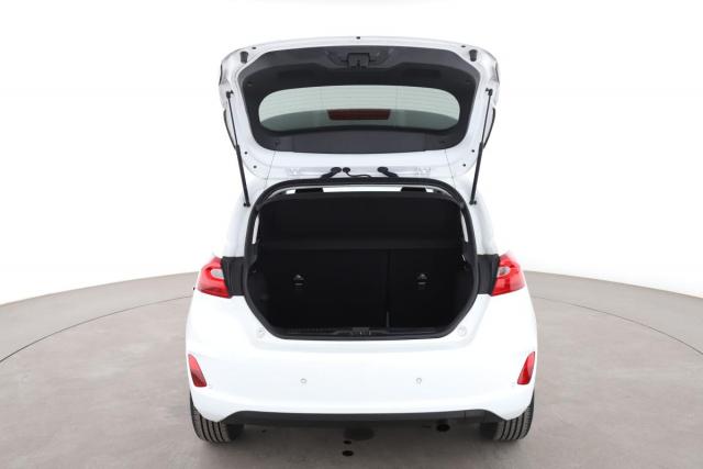 Ford Fiesta image 1