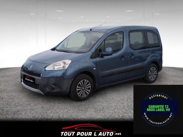 Peugeot Partner Tepee 1.6 Hdi Active