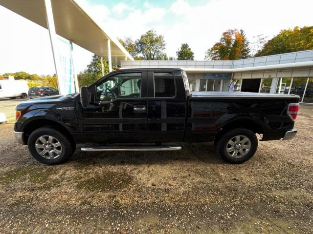Ford F 150 image 4