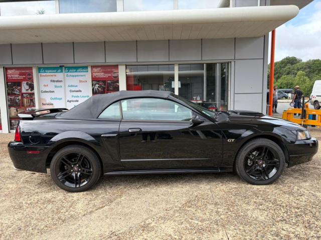 Ford Mustang image 7