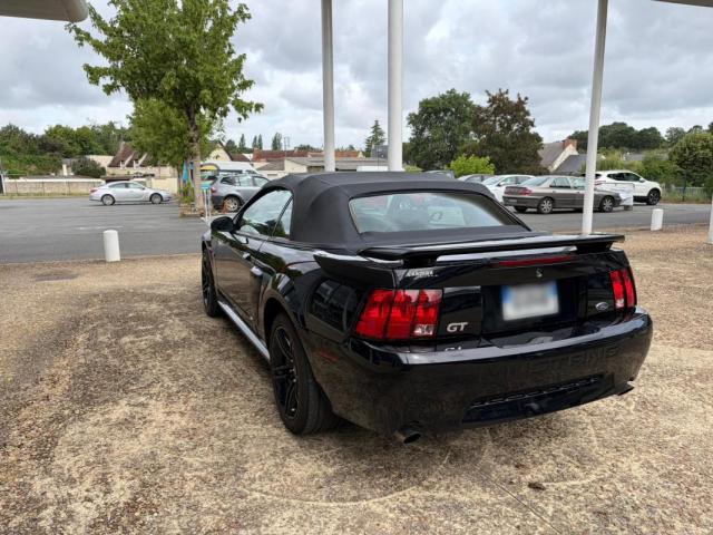 Ford Mustang image 3