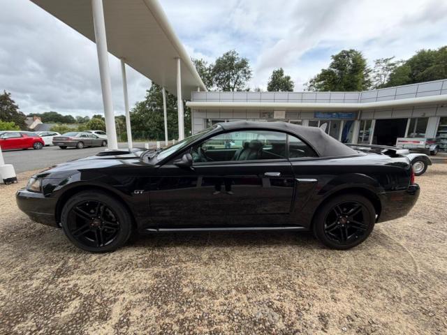 Ford Mustang image 6