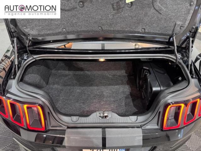 Ford Mustang image 1