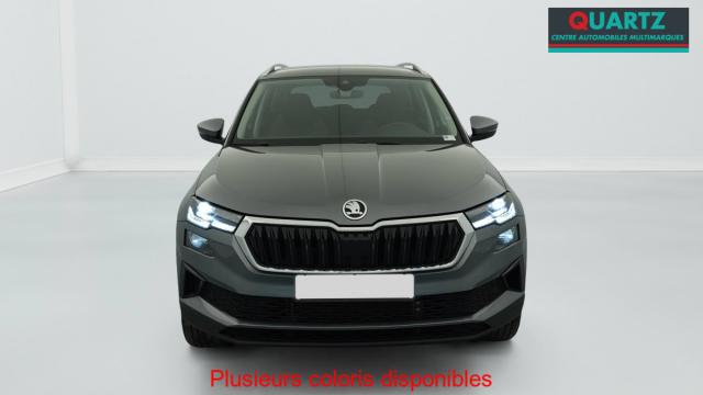 Skoda Karoq image 9