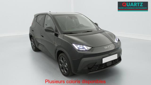 Byd Dolphin Surf 43.2 Kwh 156 Ch Comfort