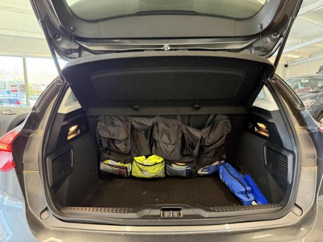 Ford Focus image 3