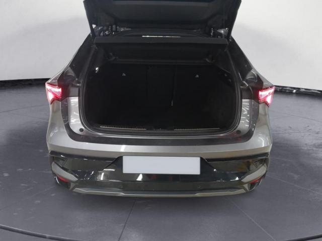 Renault Rafale image 7