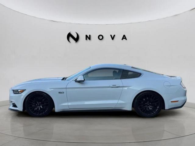 Ford Mustang image 4