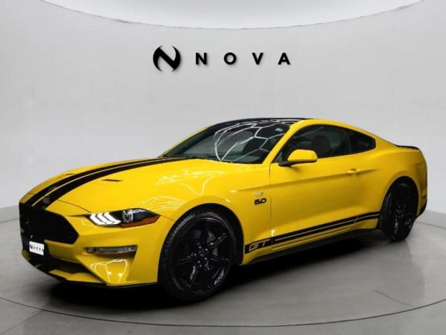 Ford Mustang image 1
