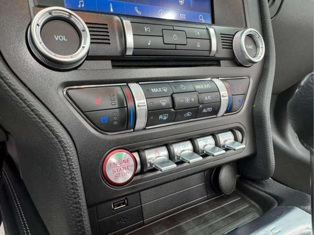 Ford Mustang image 3