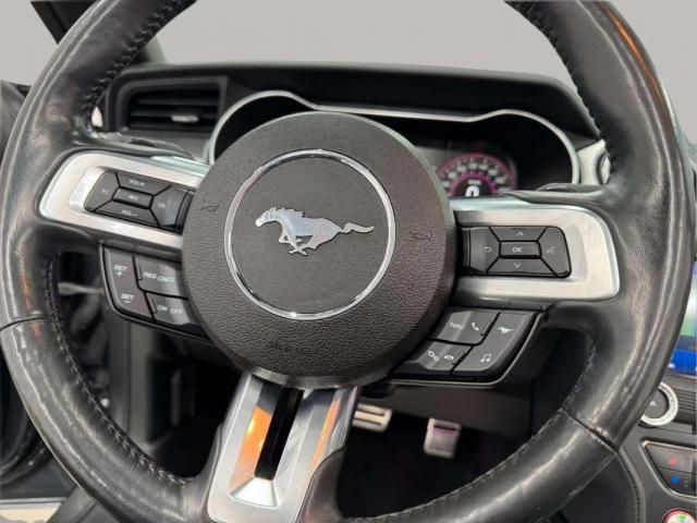 Ford Mustang image 9