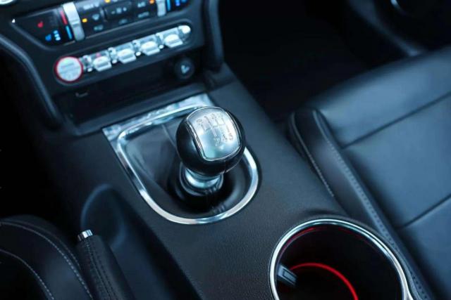 Ford Mustang image 7