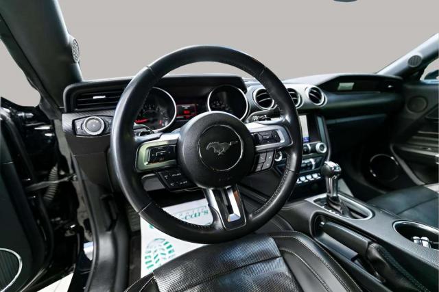 Ford Mustang image 2