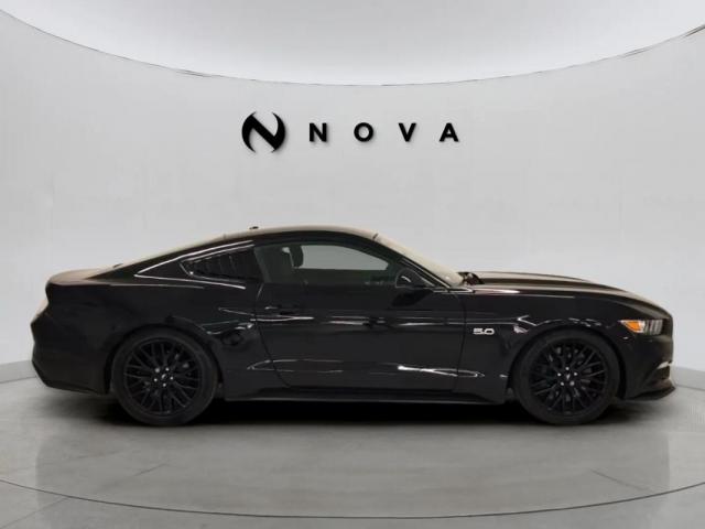 Ford Mustang image 1