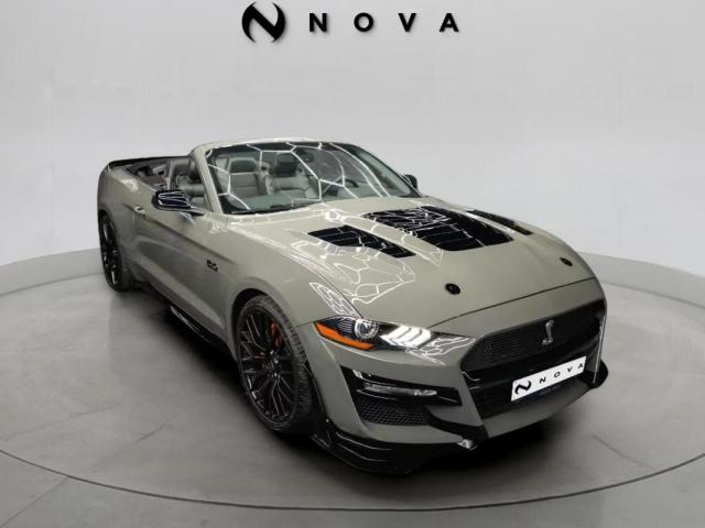 Ford Mustang image 1