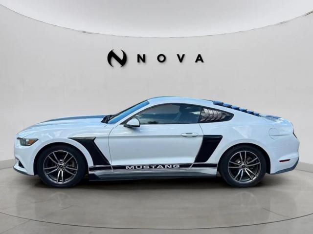 Ford Mustang image 4