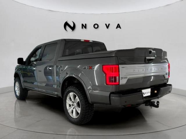 Ford F 150 image 6