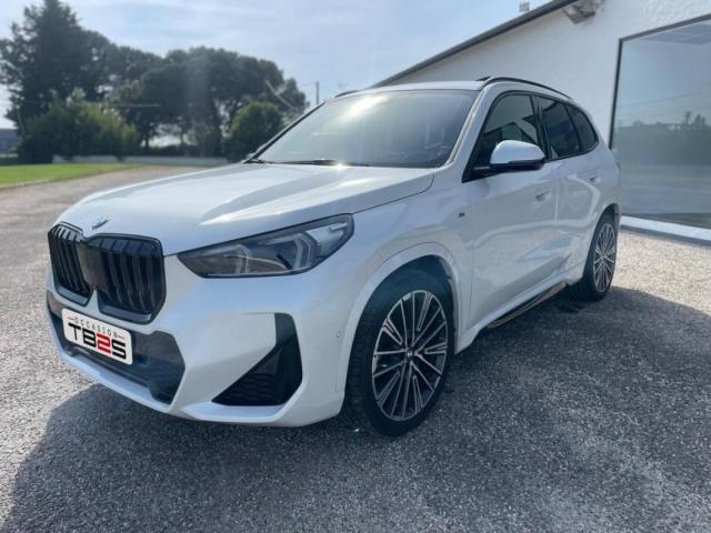 Bmw X1 image 2