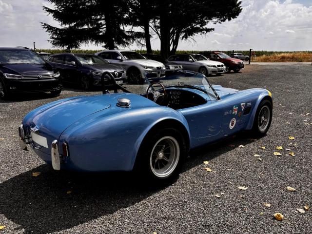 Ac Cobra image 1