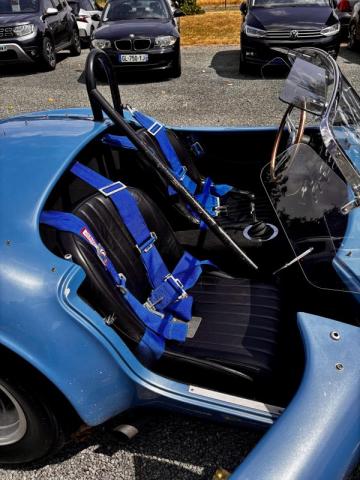 Ac Cobra image 4