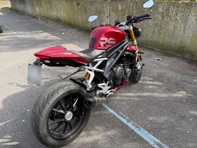 Speed Triple image 2