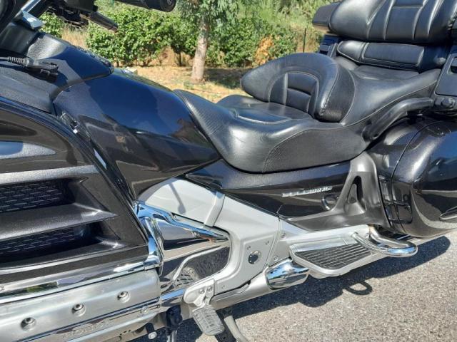 Goldwing image 3
