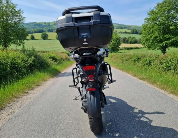 Triumph Tiger image 1