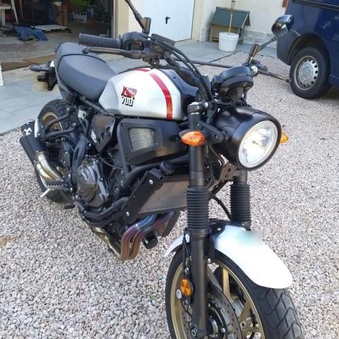 Xsr image 2