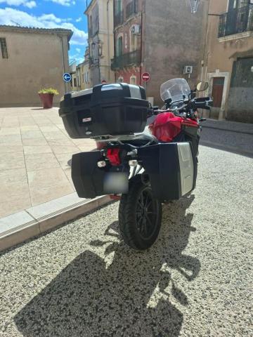 Triumph Tiger image 4