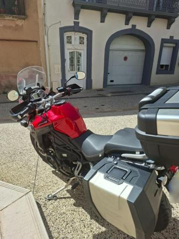 Triumph Tiger image 3