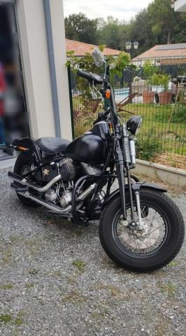 Harley Davidson Cross Bones 1584 
