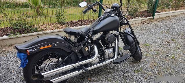 Harley Davidson Cross Bones 1584 image 4