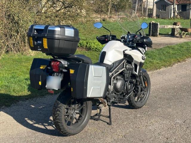 Triumph Tiger image 1