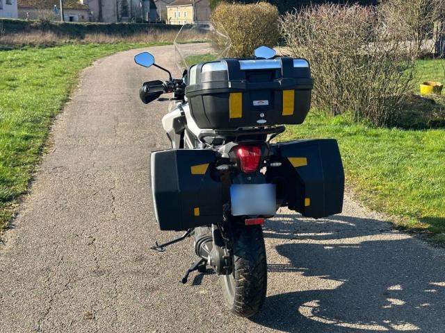 Triumph Tiger image 3