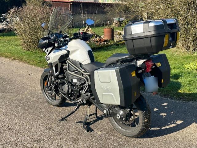 Triumph Tiger image 4