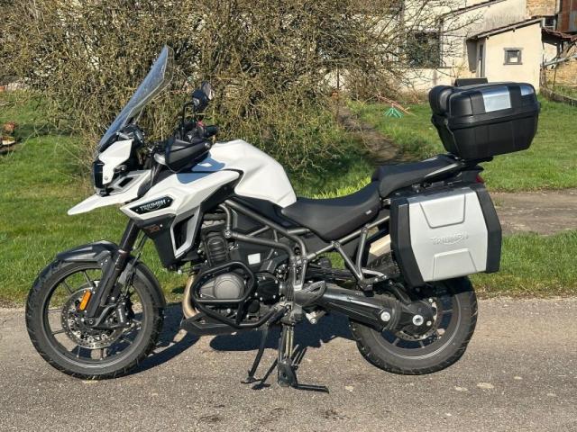 Triumph Tiger image 2