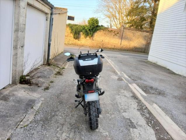 650 image 3