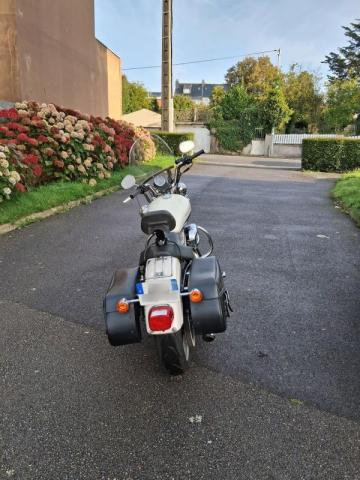 Harley Davidson Sportster image 3